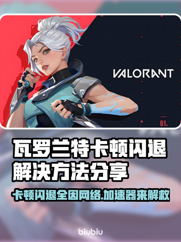瓦罗兰特卡顿闪退？用这个加速器立马解决！🔥🎮截图1