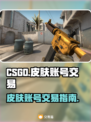 CSGO账号交易💡皮肤平台大揭秘！🔥