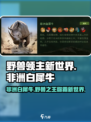 野兽领主新世界🔥非洲白犀牛超强攻略🎉