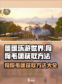 无限暖暖狗狗毛团如何获取介绍