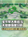 宝可梦大集结🔥飞天螳螂强度逆天？带你一探究竟！