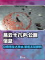燕云十六声🔥上线公测了吗？玩家热议中！
