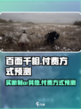 百面千相是买断制吗介绍