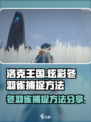 洛克王国手游炫彩冬羽雀怎么捕捉介绍