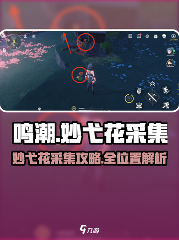 🎮鸣潮妙弋花采集全攻略！快速拿满资源✨截图1
