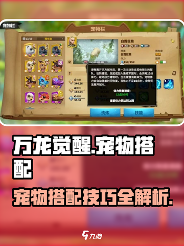万龙觉醒🔥宠物最强搭配方式大揭秘！截图1