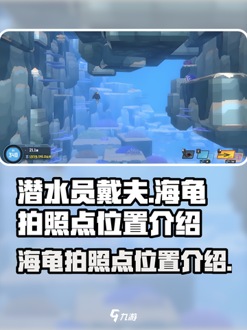 潜水员戴夫📖海龟拍照点位置全攻略！🔥截图1