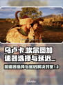 乌卢卡埃尔图加速器推荐🎉游戏延迟解决对策⚡
