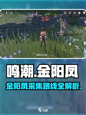 鸣潮金阳凤采集路线分享介绍截图1