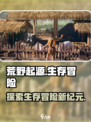 荒野起源是什么类型游戏介绍