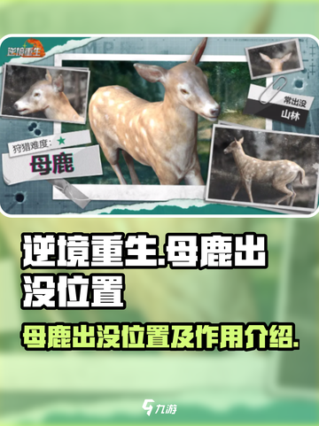 逆境重生母鹿出没位置介绍截图1