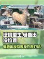 逆境重生母鹿出没位置介绍