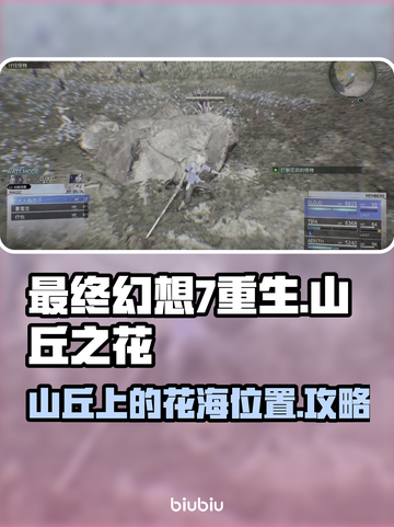 最终幻想7重生🔥山丘花海攻略📍截图1