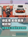 绝区零柏妮思定位一览介绍