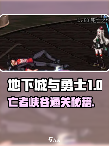 【DNF手游亡者峡谷副本通关秘籍🔥】截图1