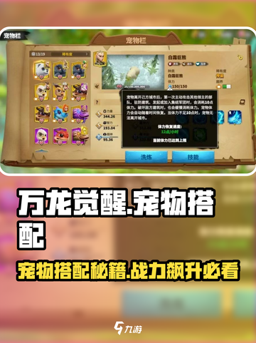 万龙觉醒🔥宠物最强搭配方式大揭秘！截图1