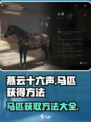 燕云十六声马怎么获得介绍