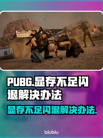 PUBG显存不足闪退？内存优化攻略来了！💥🔥截图1