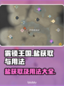 雾锁王国🎮：盐获取&用法大揭秘！🔥