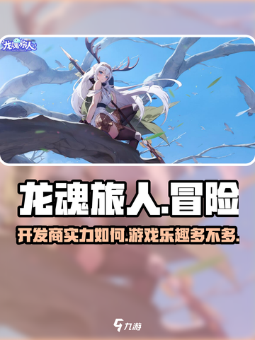 龙魂旅人开发商是哪家介绍截图1