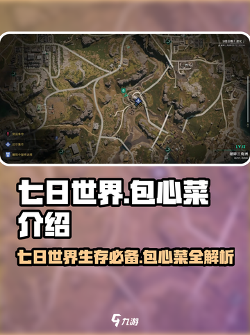 七日世界包心菜是什么介绍截图1