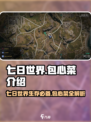 七日世界包心菜是什么介绍