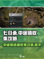 七日世界中途镇收集攻略介绍