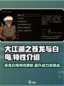 大江湖之苍龙与白鸟特性有哪些介绍