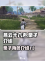 燕云十六声🔥：栗子全面介绍来啦！