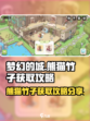 梦幻的城熊猫竹子怎么获取介绍