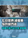 七日世界经验表介绍介绍