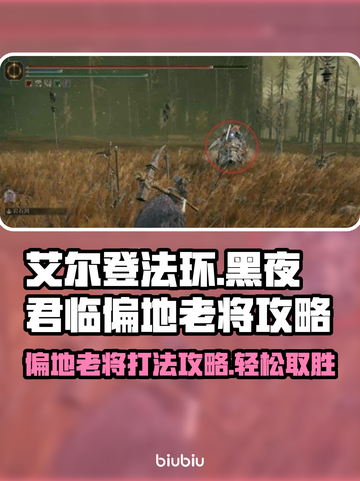 艾尔登法环黑夜君临偏地老将打法🔥一招制敌！截图1