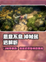《恶意不息》掉帧卡顿？延迟高？🔥🎮