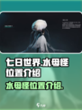 七日世界水母怪在哪里介绍