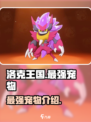 洛克王国世界最强宠物是谁介绍