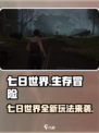 七日世界肝吗介绍