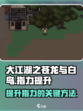 大江湖之苍龙与白鸟🔥指力提升秘籍🎉