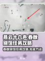 燕云十六声春秋别馆任务攻略介绍