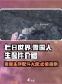 七日世界雪国人生配件介绍介绍