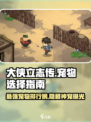 大侠立志传哪个宠物好介绍
