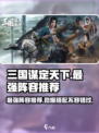 三国谋定天下最强阵容🔥助你称霸战场！