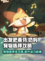出发吧麦芬！🔥奶妈宠物最强搭配推荐来啦～