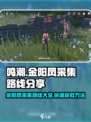 鸣潮🔥金阳凤采集路线全揭秘！👉快来看