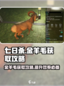 七日世界金羊毛获取攻略介绍