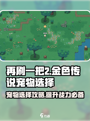 再刷一把2金色传说宠物推荐介绍截图1