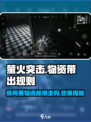 萤火突击 ROOM物资能带走？游戏党必看🔥