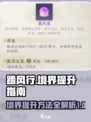 踏风行境界提升方法指南介绍