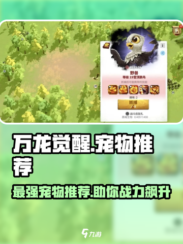 万龙觉醒宠物推荐介绍截图1