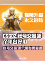 CSGO2交易平台大揭秘！🔥账号交易哪家强？👇
