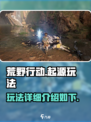 荒野起源玩法有哪些介绍